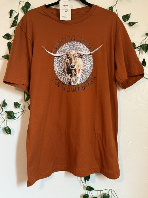 Whatever Lassos Your Longhorn